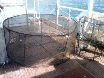 Usulsüz Yöntemlerle Balık Avlayanlara Yönelik Denetimler Devam Ediyor