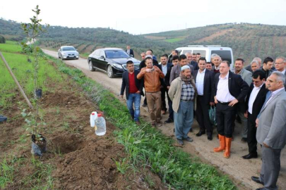 BAŞKAN SAVAŞ YERLİ MALI HAFTASINDA YERLİ ZEYTİN FİDESİ DİKTİ 