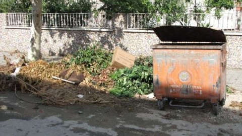 Mahalle Aralarında Toplanmayan Budanmış Ağaç Dalları Kirliliğe Neden Oluyor