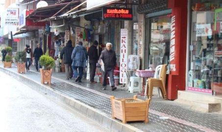 Samandağ’da Saksı Ağaçlar Tahrip Edildi