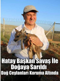Hatay Başkan Savaş İle Doğaya Sarıldı
