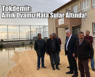 Tokdemir: Amik Ovamız Hala Sular Altında!