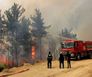 Yangınla Mücadele Eden Kahraman İşçiler Bakanlıktan Vize Bekliyor