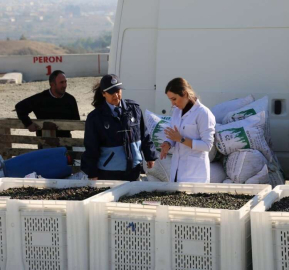 Öncelik Halk Sağlığı