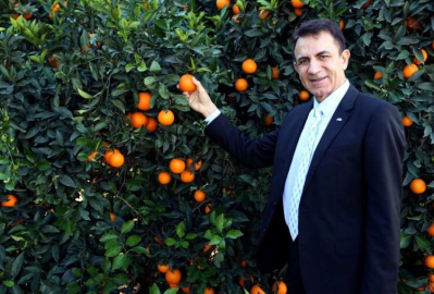 Akdeniz'den ihracat  13.5 milyar dolara ulaştı