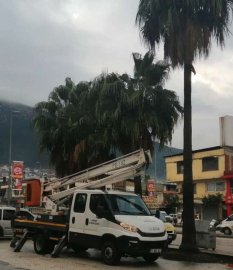 HBB’nin Ağaç Budama Çalışmaları İl Genelinde Devam Edecek