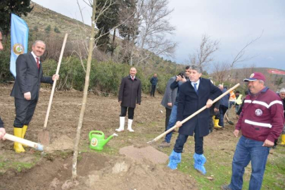 Kırıkhan’da 10 Bin Çam Ağacı Dikme Kampanyası Başlatıldı