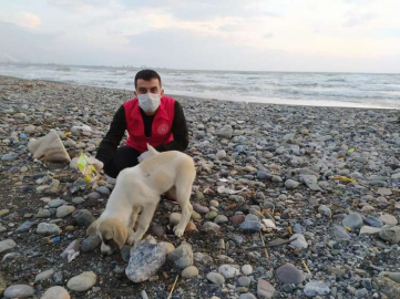 Dörtyol'da Vefa Sosyal Destek Grubu çalışmalarına devam ediyor