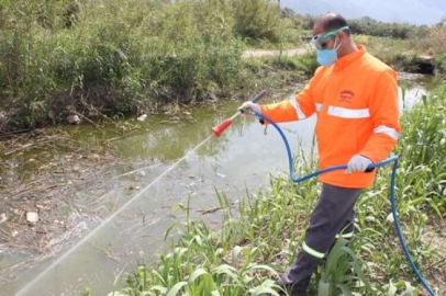 Samandağ’da Sivrisinek ve Larva Mücadelesine Başlandı