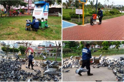 Sokağa Çıkma Yasağında Sokak Hayvanları Unutulmadı