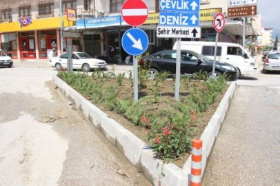 Samandağ’da Refüjler Estetik Bir Görünüme Kavuşuyor