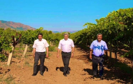 Hassa Yöresel Ürünler Pazarı Kuruldu..