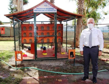 Başkan Fatih Tosyalı: İskenderun'da Sokak Hayvanları Yalnız Değil