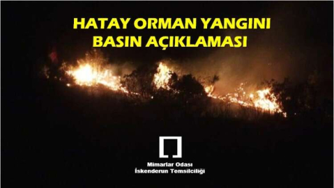 Mimarlar Odası: Orman Milletin Servetidir