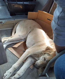 İskenderun Gençlik Merkezi'nin Genç Gönüllülerinden Alkışlanacak Davranış