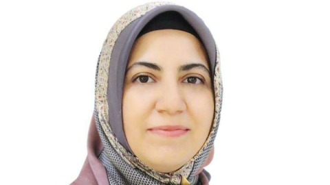 Genital Estetik Nedir?