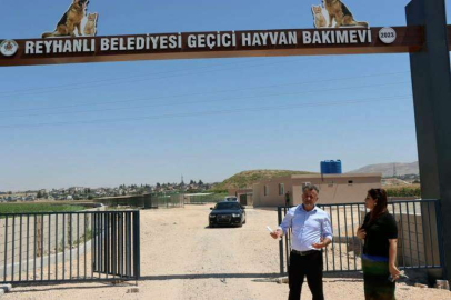 REYHANLI’DA SOKAK HAYVANLARI İÇİN MODERN  PROJE HAYATA GEÇİRİLİYOR