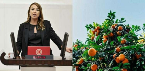 KARA: ENFLASYONLA BERABER NARENCİYE ÜRETİCİLERİNİN MAĞDURİYETLERİ ARTIYOR 