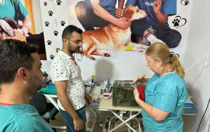 KIRIKHAN BELEDİYESİ SOKAK HAYVANLARI KISIRLAŞTIRMA SEFERBERLİĞİ BAŞLATTI