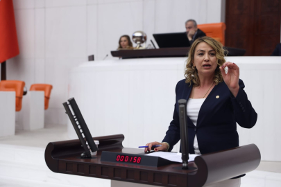 YILDIRIM KARA: SAMANDAĞ’DAKİ EKOSİSTEM YENİ BİR TEHDİT İLE KARŞI KARŞIYA