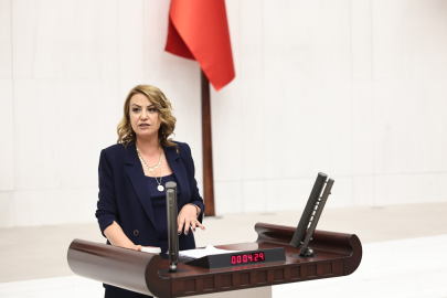 YILDIRIM KARA: YANGIN SONRASI HASAR TESPİTİ VE TAZMİN ÇALIŞMALARI HIZLANDIRILMALI