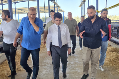 ARSUZ'DA KIRSAL KALKINMA İÇİN GENÇLERE MODERN HAYVANCILIK DESTEĞİ