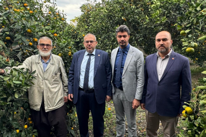 Çalışkan: ''Milli Narenciye Politikası Şart!''