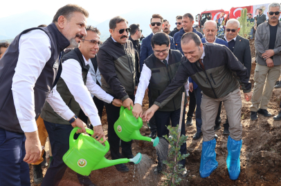 Arsuz'da Deprem Şehitleri Hatıra Ormanına Fidan Dikimi Gerçekleştirildi