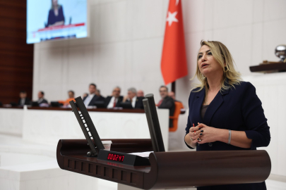 YILDIRIM KARA: ÇİFTÇİNİN EKTİĞİNİ YA DON VURUYOR YA BANKALAR BİÇİYOR