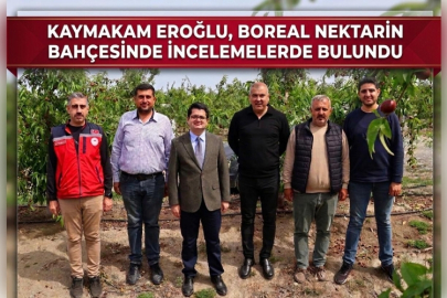 Kaymakam Eroğlu, Boreal Nektarin Bahçesinde İncelemelerde Bulundu