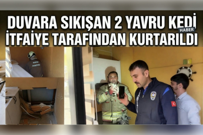 Duvara Sıkışan 2 Yavru Kedi İtfaiye Tarafından Kurtarıldı