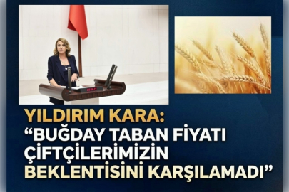 Yıldırım Kara: "Buğday Taban Fiyatı Çiftçilerimizin Beklentisini Karşılamadı"